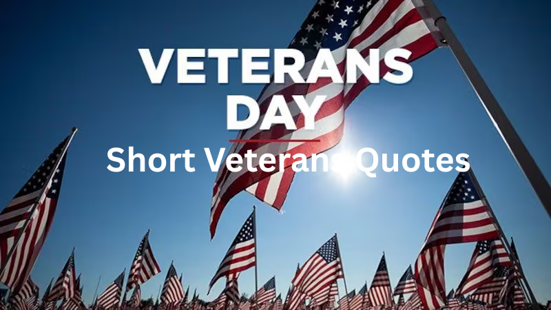 Short Veterans Quotes