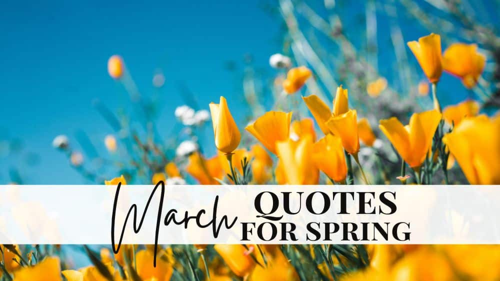 March 1st quotes