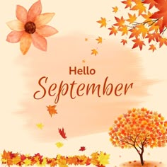 Cozy Up with These Charming Hello September
