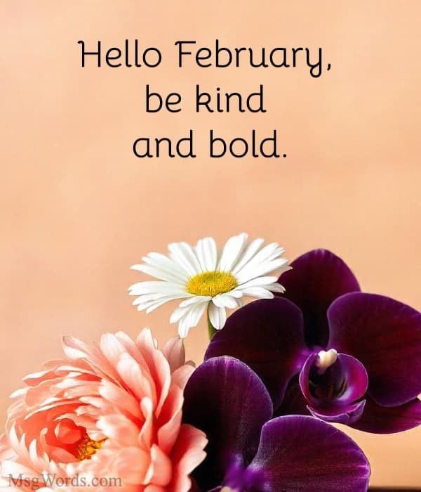 Short Hello February Quotes for Quick Captions