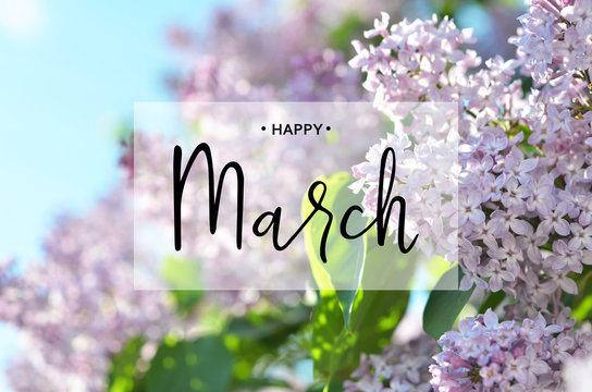 Happy March Quotes