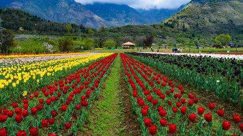 100+Hello March Quotes to Welcome Spring