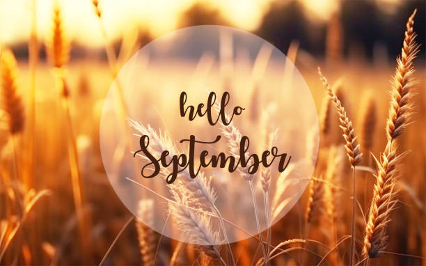cozy up with these september quotes
