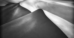 Black and White Captions