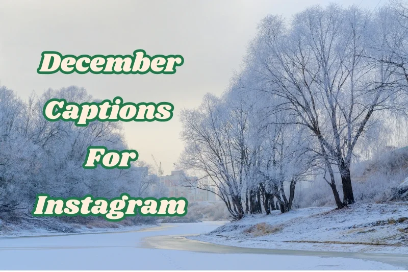 December Quotes for Instagram