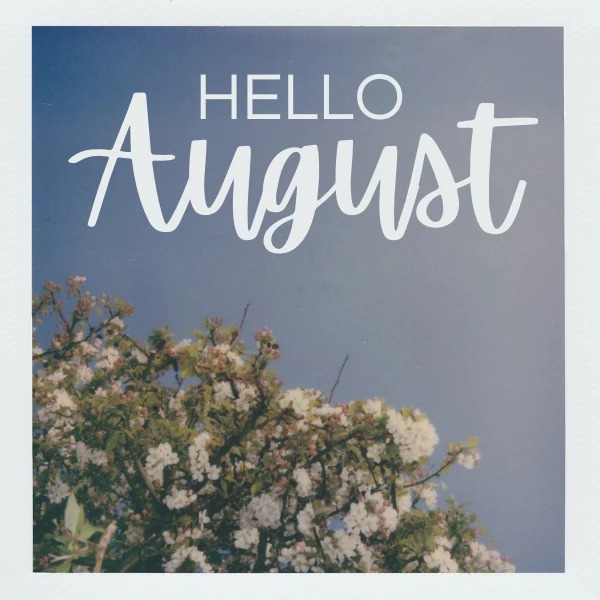Quotes for August Activities
